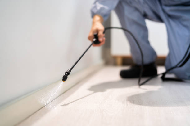 Licensed Cockroach Control service in Webster, FL - Nex Pest Control