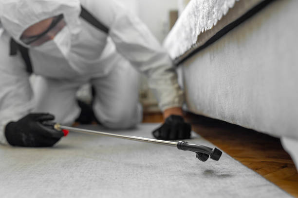 Professional Cockroach Control technician working in Webster, FL