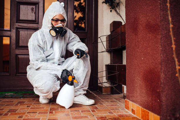 Reliable Cockroach Control contractor in Webster, FL by Nex Pest Control