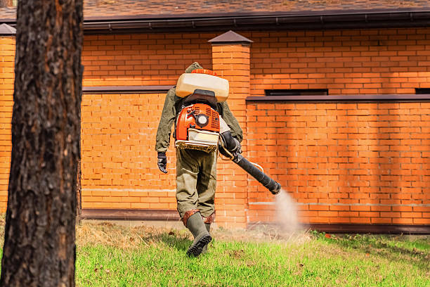 Top rated local Cockroach Control specialists in Webster, FL